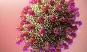 Hepatitis E diagnostic tests are medical tests used to diagnose Hepatitis E, a viral infection that affects the liver