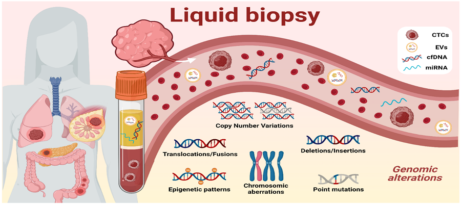 Liquid Biopsy Market1