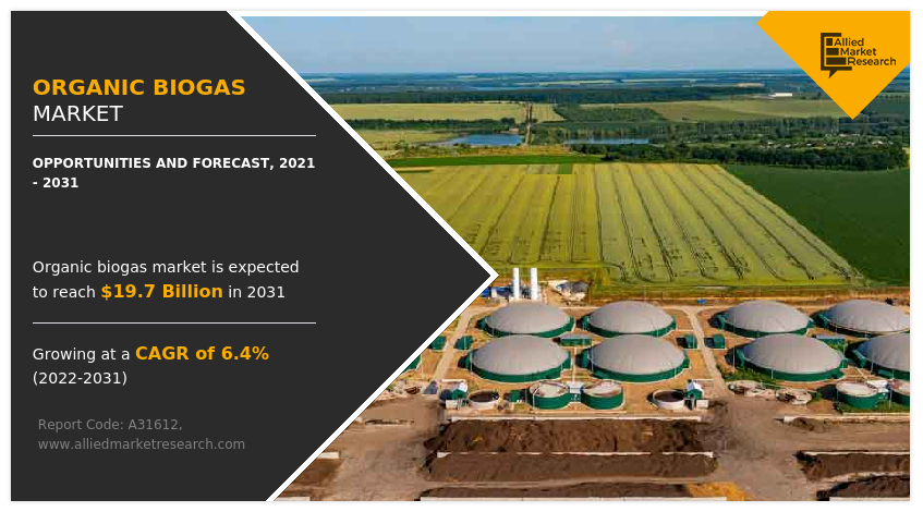 Organic Biogas Market Size