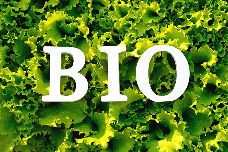 The Latest Research On The Global Bio-Based Organic Acids Market Report Covers Forecast And Top To Bottom Analysis On A Worldwide, Country, And Regional Level Bio-Based Organic Acids Market