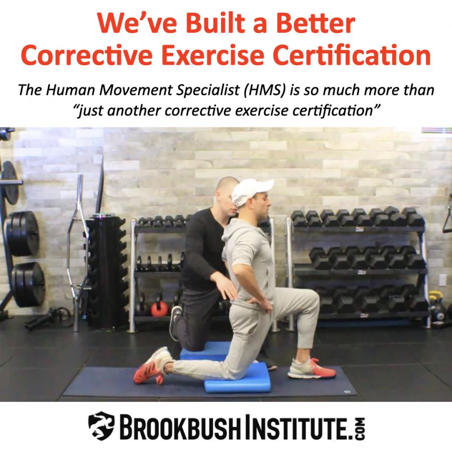 Corrective Exercise may be the Most Important modality in Fitness, Performance, and Physical Rehabilitation