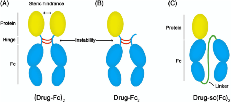 Fusion Protein and Biosimilars Market- Global Outlook and Forecast 2023-2030 is latest research study released by Allied Market Research evaluating the market risk side analysis, highlighting opportunities and leveraged with strategic and tactical decision-making support (2023-2030) Fusion Protein and Biosimilars Market1