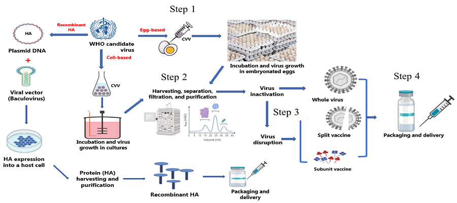 Pandemic Influenza Vaccine Market- Global Outlook and Forecast 2023-2030 is latest research study released by Allied Market Research evaluating the market risk side analysis, highlighting opportunities and leveraged with strategic and tactical decision-making support (2023-2030) Pandemic Influenza Vaccine Market1
