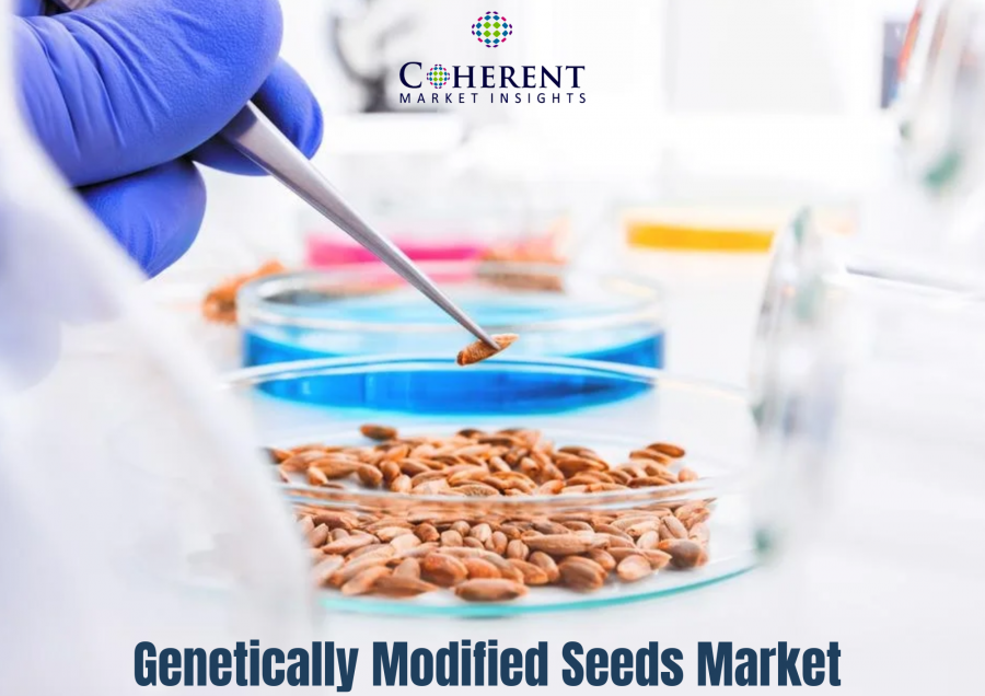 Global Genetically Modified Seeds Market