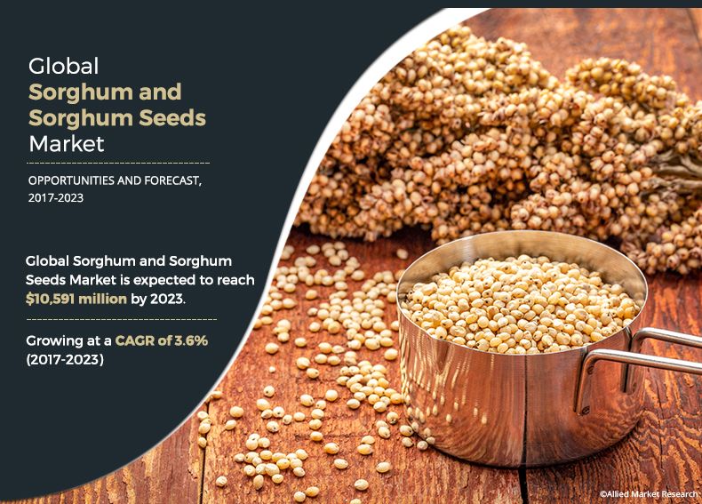 Sorghum is used as human feed and livestock feed and the rest is turned into ethanol Sorghum and Sorghum Seeds Market by Type