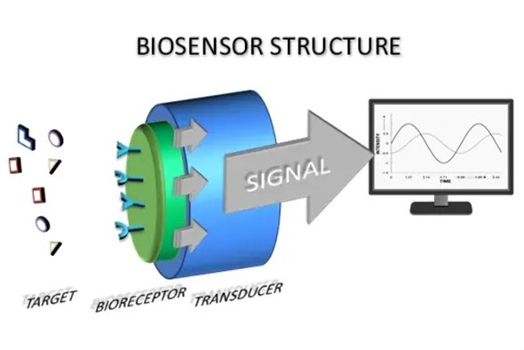 Global Biosensors Market Growing Demand and Growth Opportunity 2023-2030: