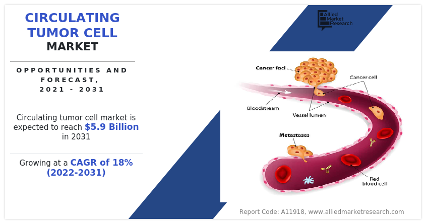Circulating Tumor Cell Market -Infographics -AMR