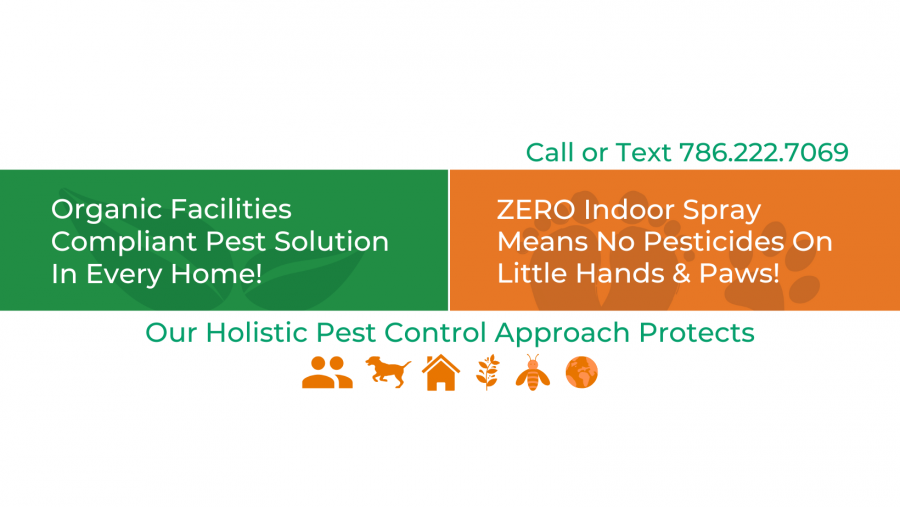 NaturePest Holistic Pest Control Now Serves The City Of Hollywood, Florida With Eco-Friendly Pest Control Solutions