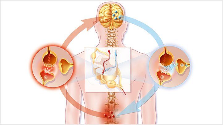 Allied Market Research added new research on Neuropathic Pain Market - Opportunity Analysis and Industry Forecast,2023-2032 Neuropathic Pain Market Size