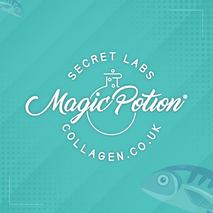 Secret Labs Logo