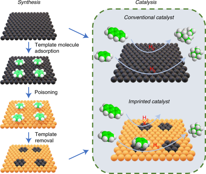 Allied Market Research published a report, titled, "Metal catalyst Market by Catalyst Type (Platinum, Ruthenium, Palladium, Titanium, Zinc, Copper, and Others), Application (Automotive, Petrochemical, Pharmaceutical, and Others), And Region (North America, Europe, Asia-Pacific, and LAMEA): Global Opportunity Analysis and Industry Forecast, 2022-2031" According to the report, the global metal catalyst industry generated $18 Metal Catalysts Market Trend