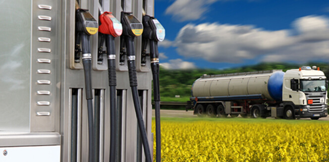 Biofuel Additives Market Growth