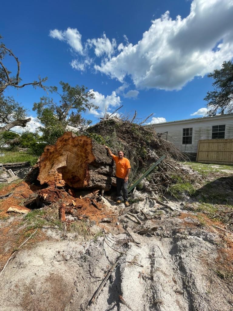 Kenneth Nobles Tree Service Achieves Unprecedented Growth and ...