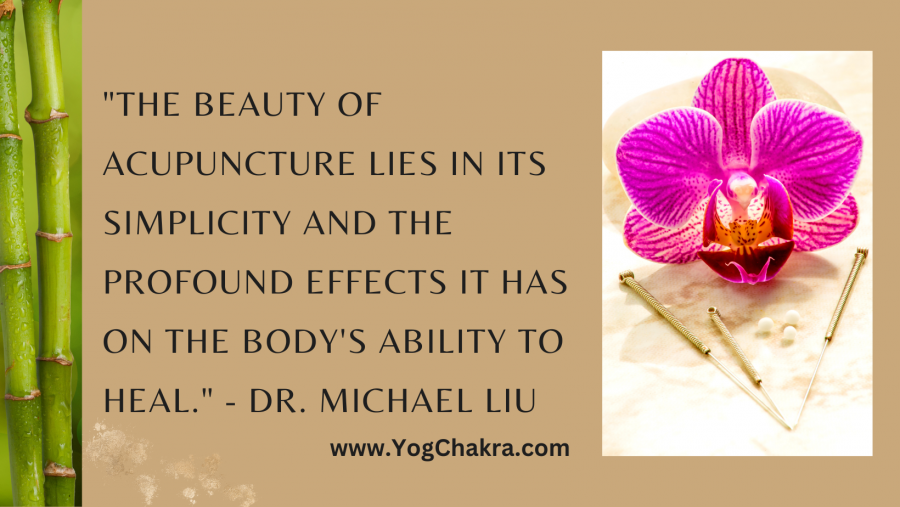 Acupuncture directory yogchakra brings acupuncture quotes for wellness
