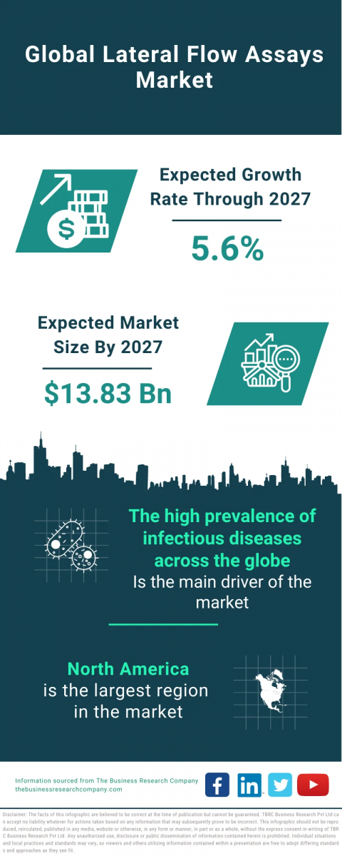 Lateral Flow Assays Market Report 2023 : Market Size, Trends, And Global Forecast 2023-2032