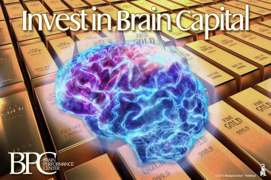 Brain Capital Investment