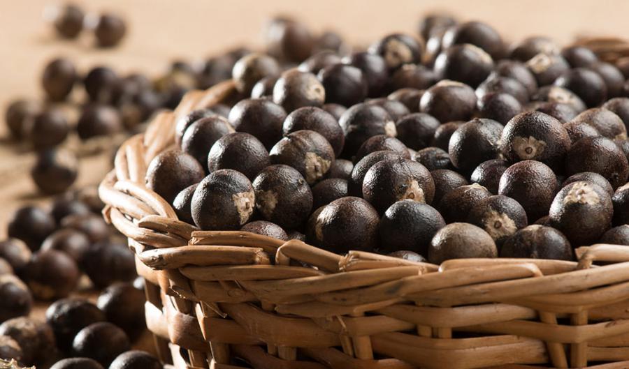 Global France Acai Berry Market Analysis