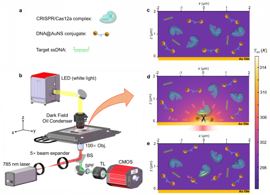 Figure  1 | Working principle of the CRONT.