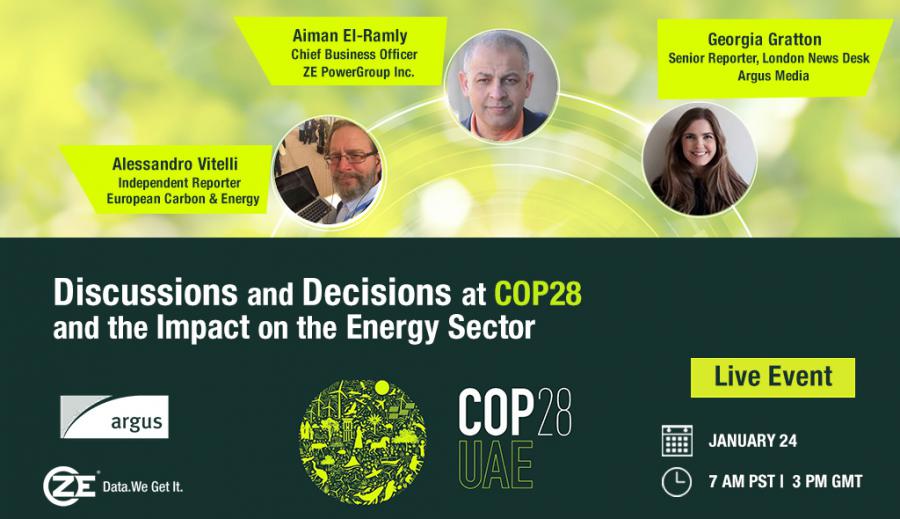 Virtual Discussion Panel COP28 Outcomes -Post Webinar