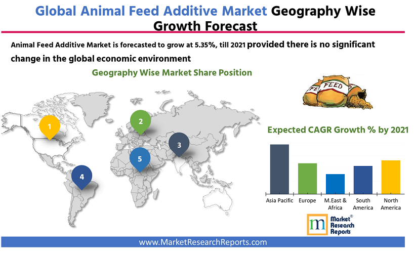 Feeds market. Global Feed Additives Market. Global Market Development. 2021 Market growth Forecast.