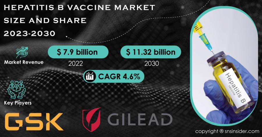 Hepatitis B Vaccine Market To Reach USD 11.32B By 2030, Driven By ...