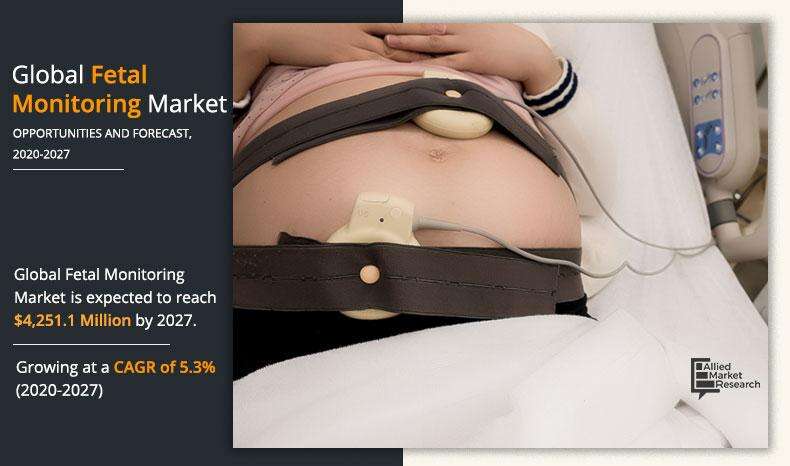 Fetal Monitoring Market AMR