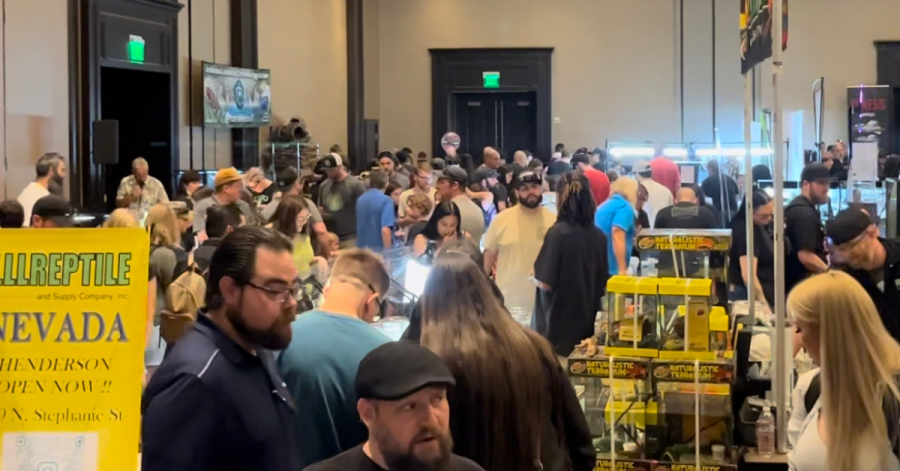 Exotic Pet & Reptile Expo Brings Wild Wonder to Las Vegas at the Santa ...