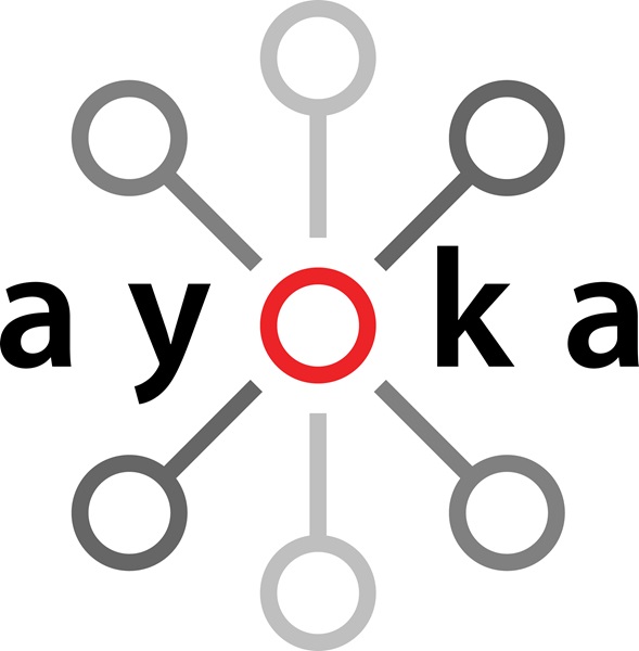 Ayoka Systems Introduces “Rented Custom Software”