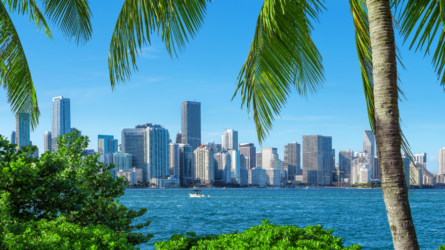 2024 Miami Real Estate Market: A Hotbed of Activity for Condo Buyers and Investors