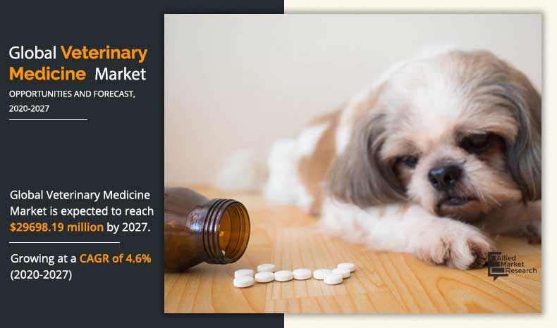 Veterinary Medicine Market  2024 To 2032