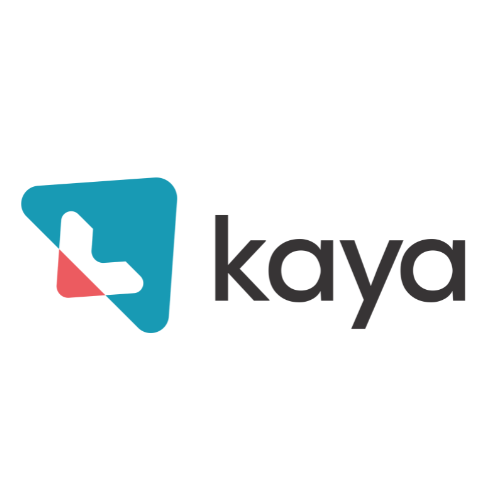 Kaya: Transforming Businesses with Innovative Strategy Consulting Solutions