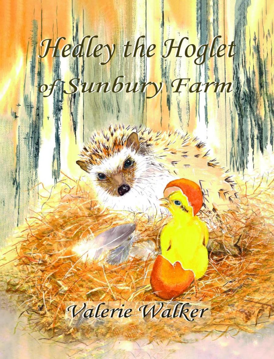 Author Valerie Walker Releases Heartwarming New Children's Book 