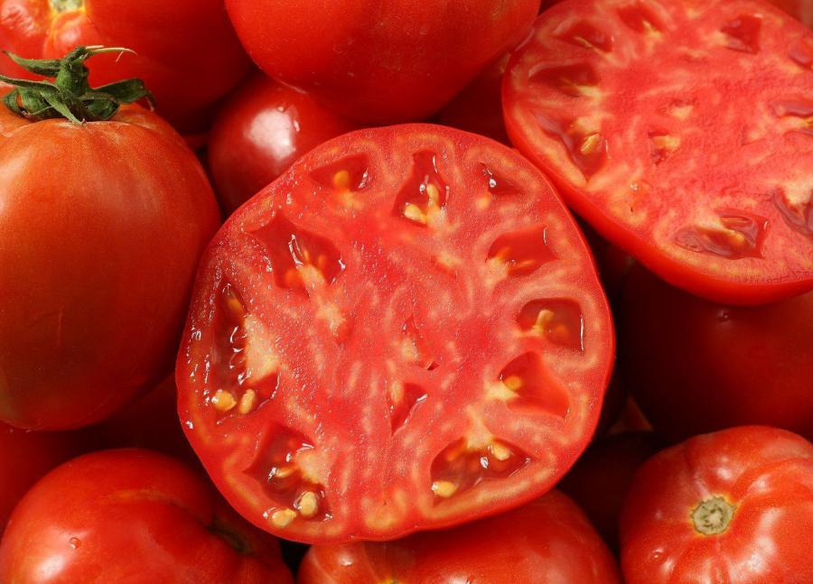 Europe Tomato Seeds Market Insights