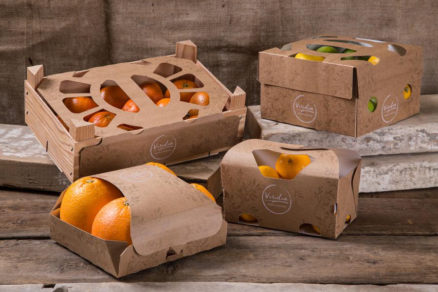 Fruit Packaging Market Insights