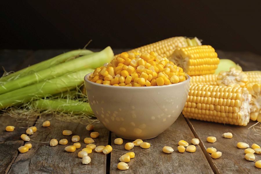 Sweet Corn Seeds Market Insights