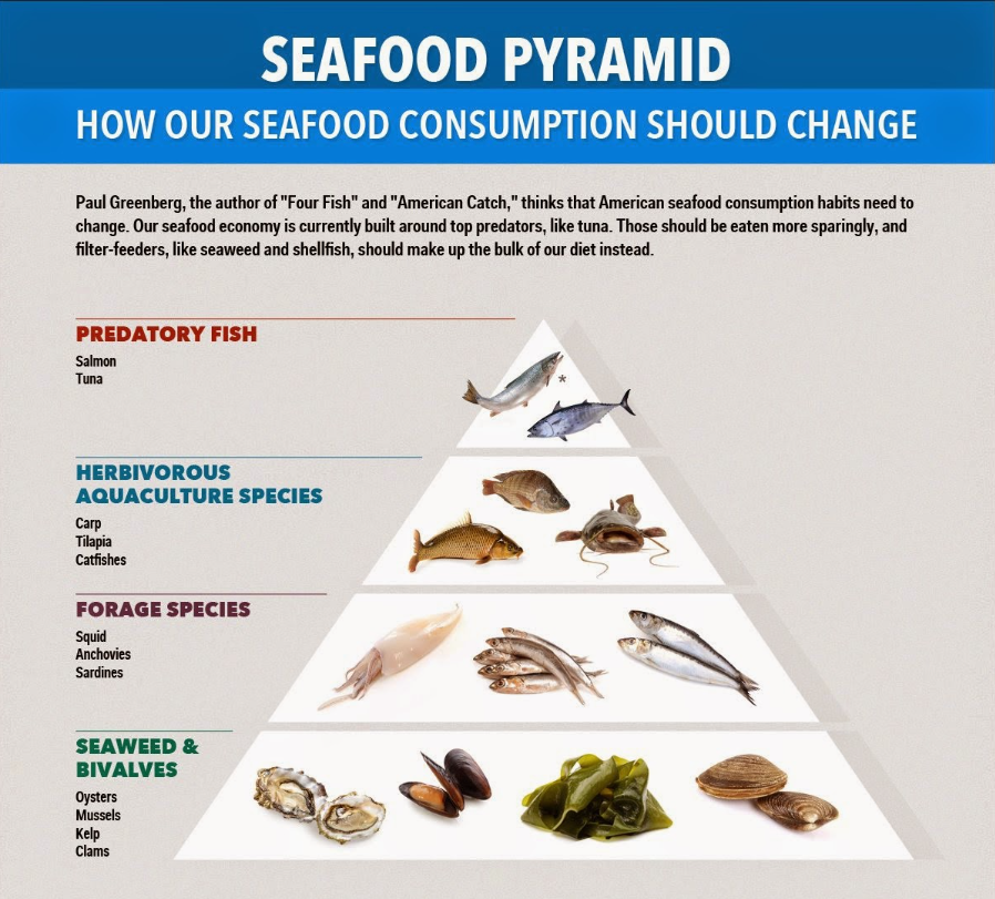 Salmon market info