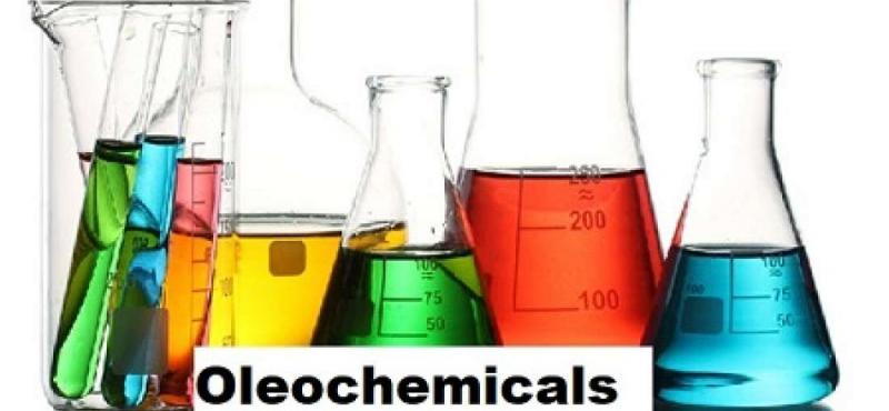 Asia-Pacific Oleochemicals Market Research