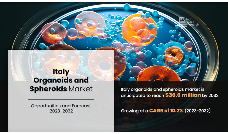 The Italy organoids and spheroids market 2023 - 2032
