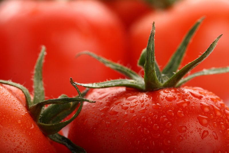 Tomato Lycopene Market Trend