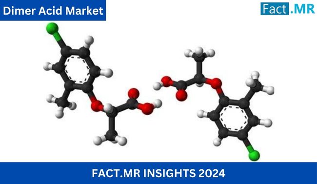 Dimer Acid Market