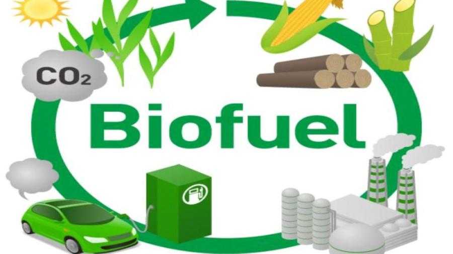 U.S. Biofuels Market