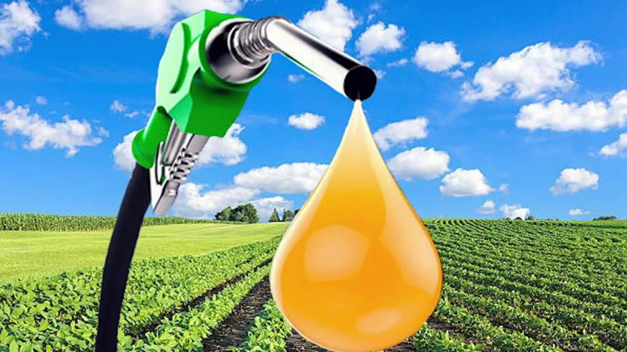 Liquid Biofuels