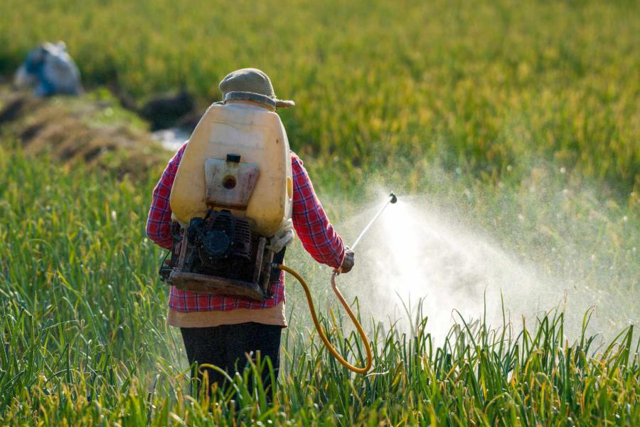 Specialty Pesticides Market Size