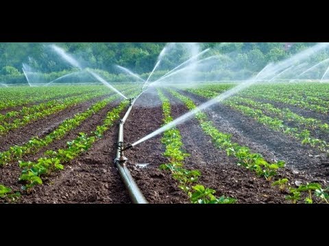 Drip Irrigation Market