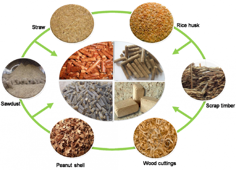 Biomass Solid Fuel Market Size