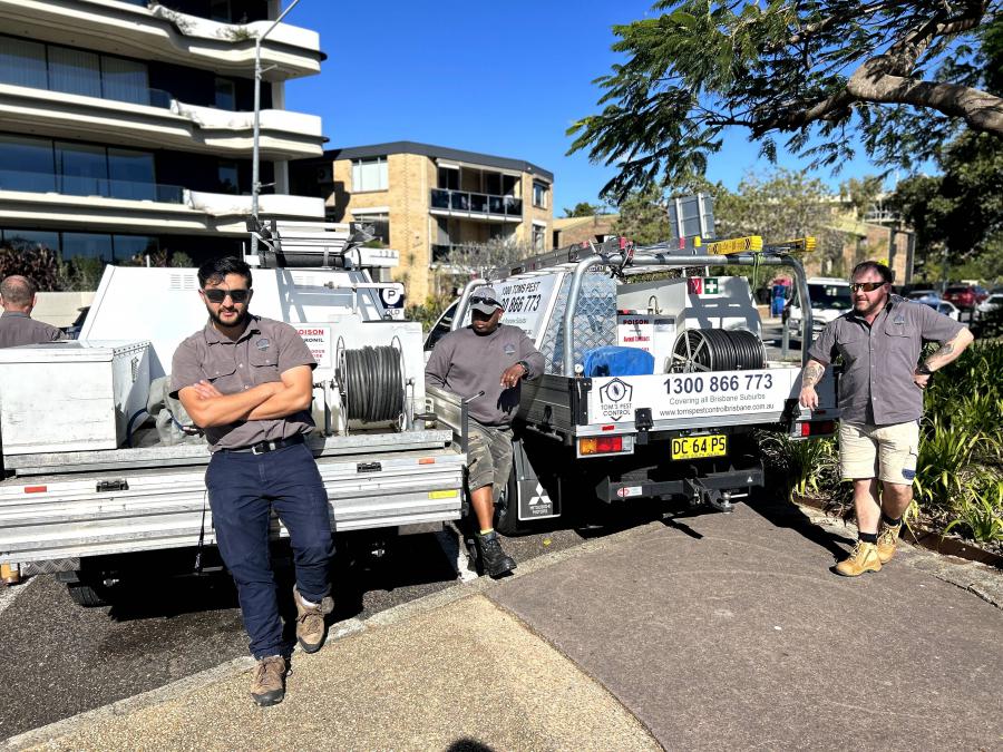 Tom’s Pest Control Brisbane Highlights Risks of DIY Pest Management ...
