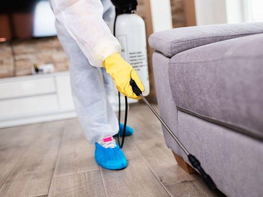 Pest Control Services in Europe Industry: Innovations Driving Market Expansion and Business Opportunities, 2025