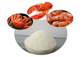 Chitosan Market Source