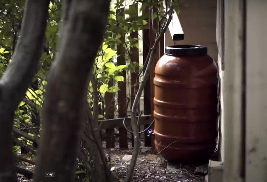 Rain Barrel