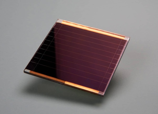 Perovskite Solar Cell Market Insights